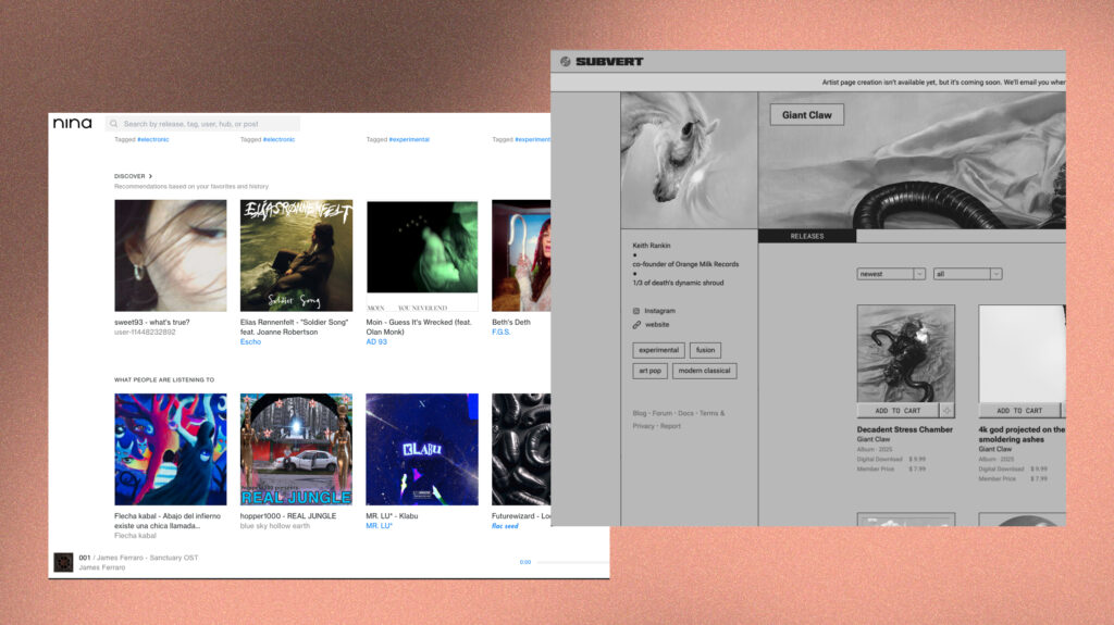 Bandcamp and Nina enable listeners to buy music directly from artists and labels, supporting independent scenes while building personal collections outside streaming platforms.
