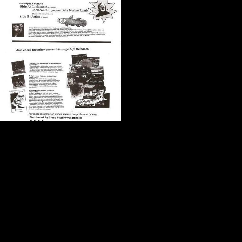Collaborative E2E Playlist
