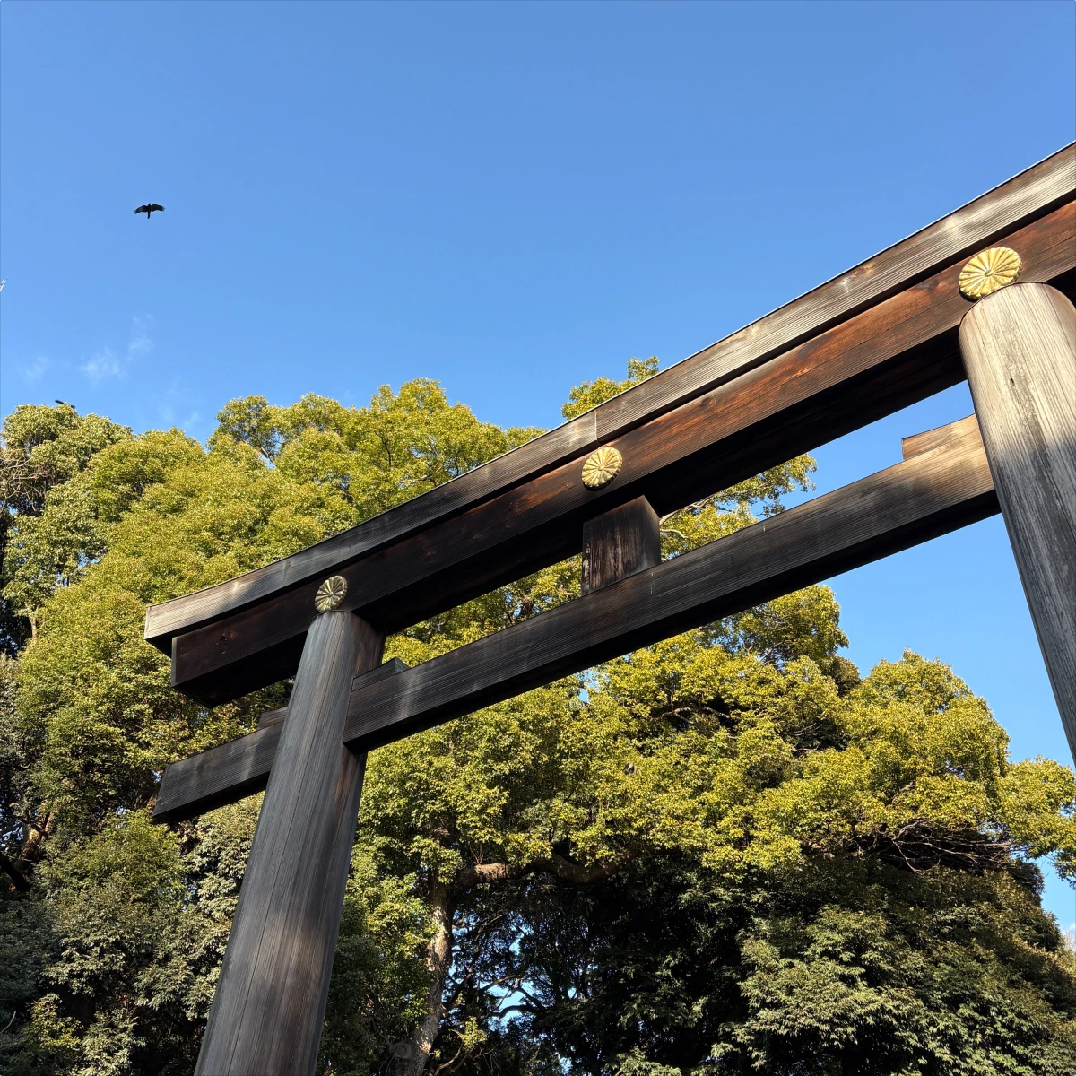 ii ongaku (良い音楽)